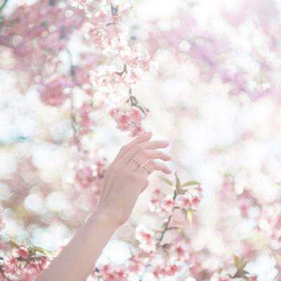 爱游戏(AYX)下载手机版